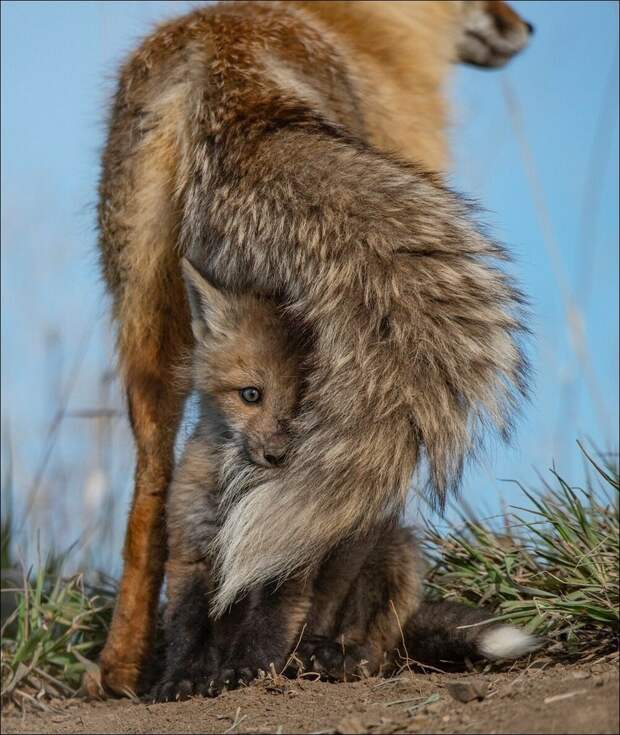 фотоприколы