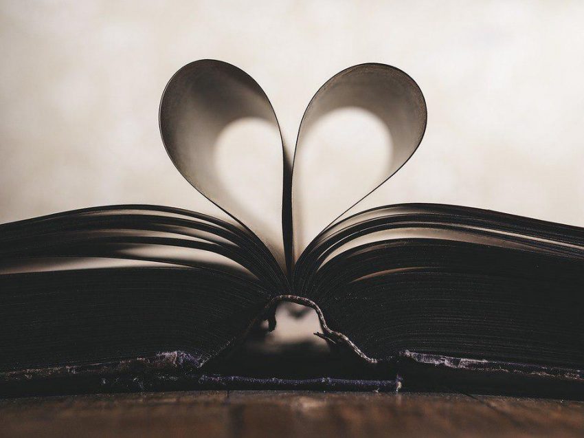 Книга/ Фото pixabay.com