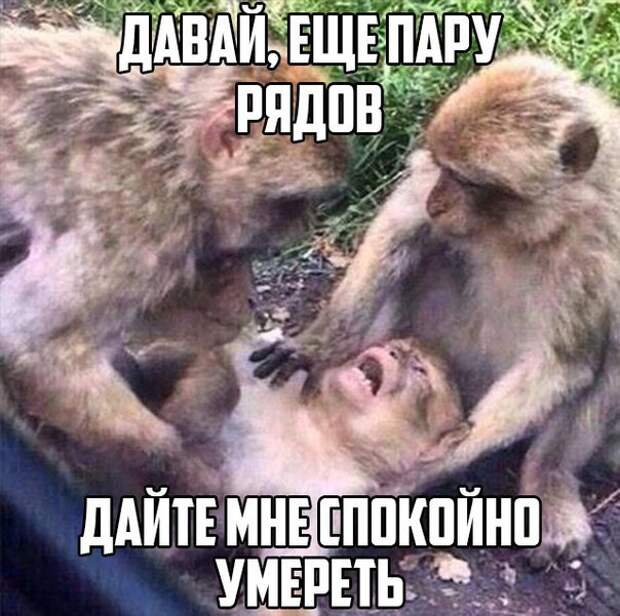 YFspCnYUHjw