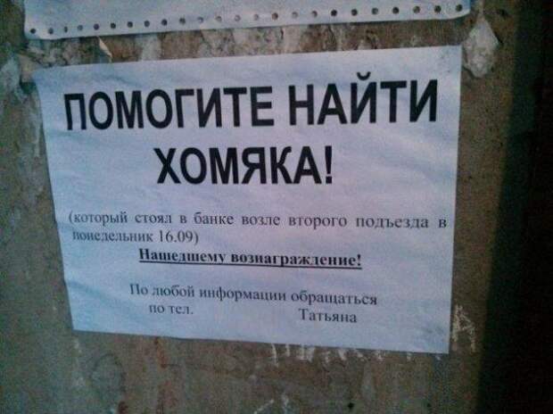 www.vsyako.net