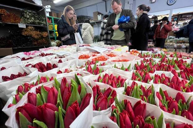 В России тюльпаны к 8 Марта подорожают почти на четверть — объясняют причины