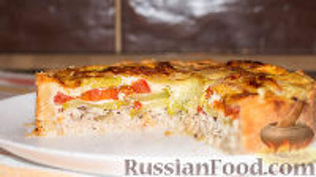 Фото к рецепту: Открытый пирог с курицей, кабачками и помидорами