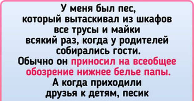 15+ хозяев, которые завели на свою голову собак с чувством юмора