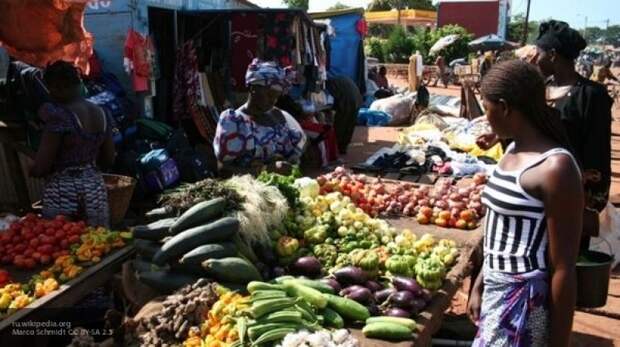 Эксперты рассказали о высоком спросе на сельхозпродукцию РФ в Африке