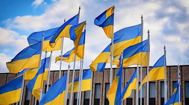 Бортник: Зеленский недоволен заявлениями прессы о возможных выборах