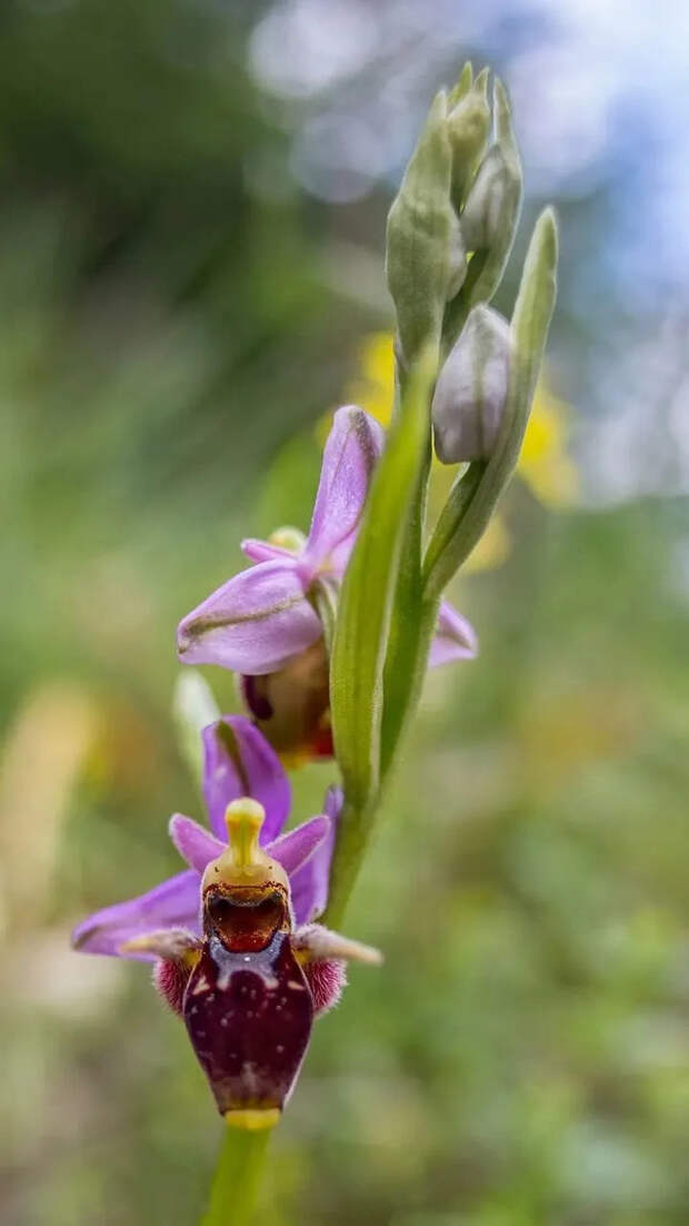 Не часто такое увидишь!