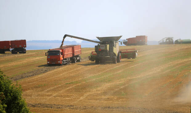 Путин попросил губернатора объяснить снижение сельхозпроизводства