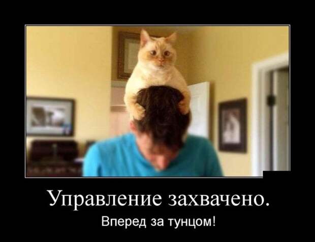 30 демотиваторов в среду