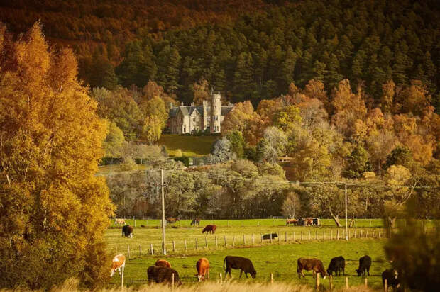Поместье Тулчан