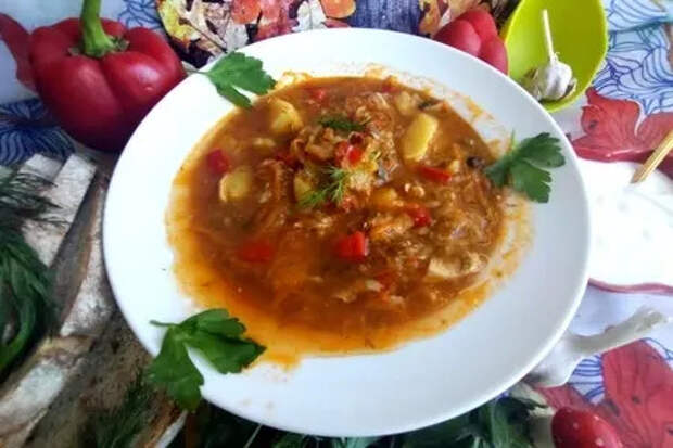 Вкусные щи из куриных спинок