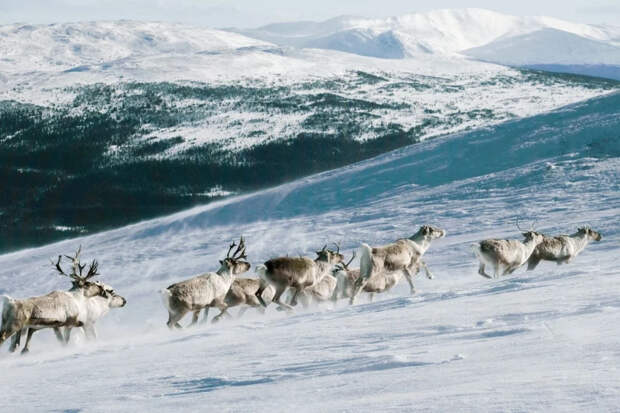 Два месяца без солнца и полупустой магазин: как живут за Полярным кругом