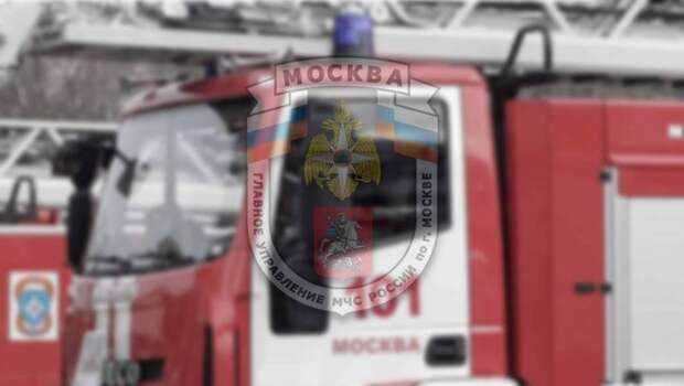 НМ 6 0904.jpg