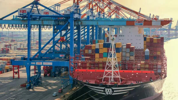 «Сдержанный пессимизм»: чем грозят глобальной торговле новые пошлины Трампа