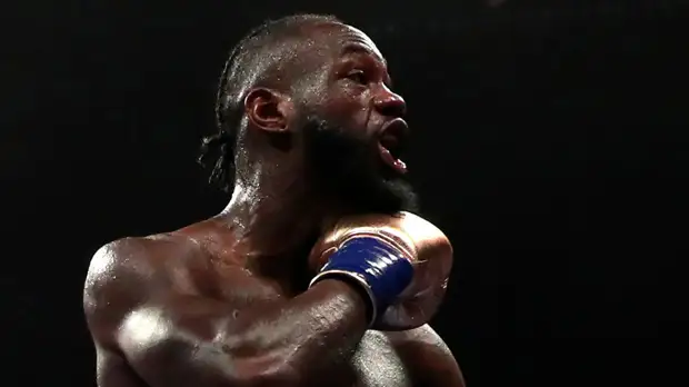 WBC рассмотрит слова Уайлдера о желании убить соперника на ринге