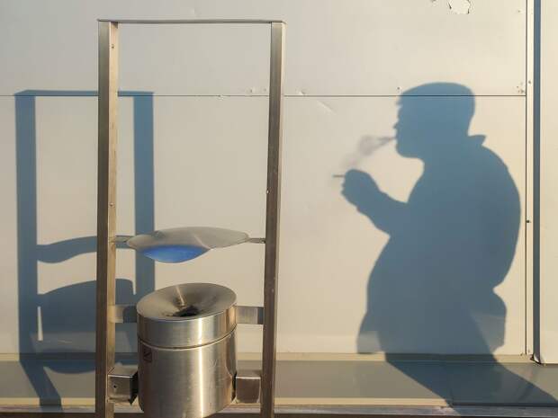 Член СПЧ Демичева: идея повысить взносы на ОМС для курильщиков — популизм