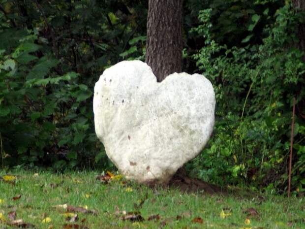 Сердце из камня