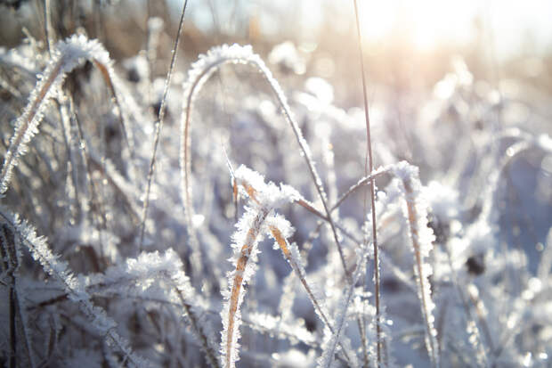 В Тульской области к выходным похолодает до -25 градусов