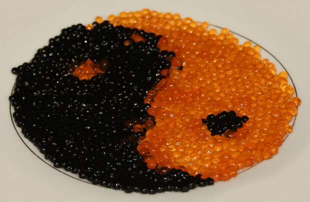 plant flower dish food produce fish cuisine nutrition dishes caviar red caviar black caviar