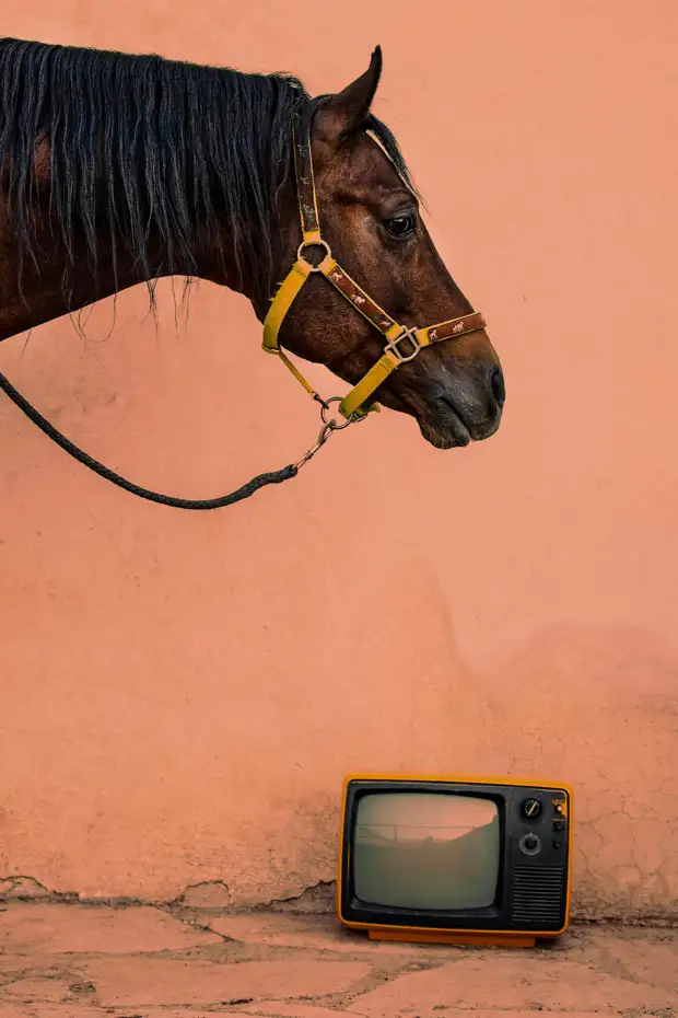 Конкурс Sony World Photography Awards 2022