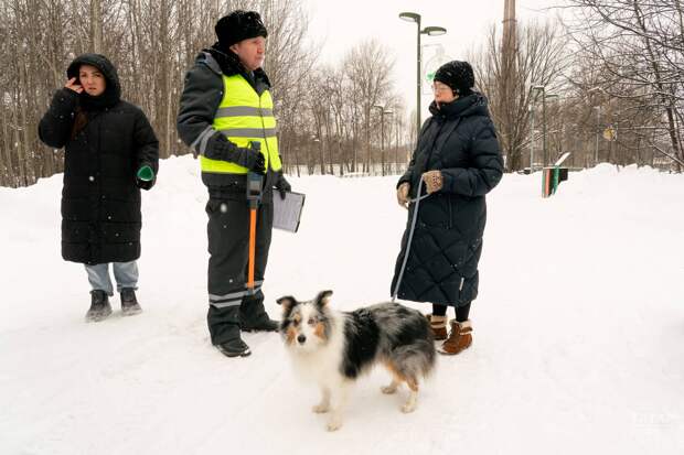 Татарстанда 62 меңнән артык йорт этенә чип куелган