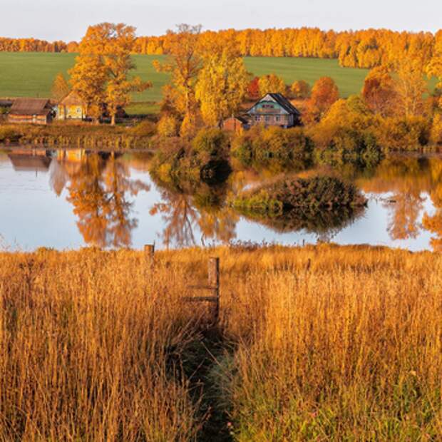Делюсь осенним настроением 🍂 Делюсь осенним настроением 🍂