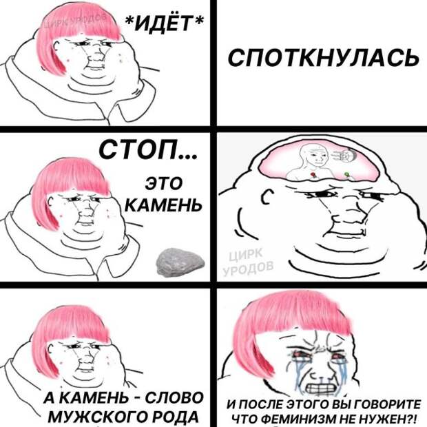 Мемы и приколы про толерантность, феминисток, ЛГБТ и BLM