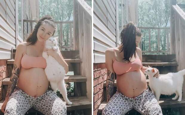 Беременная девушка нашла идеального питомца: кошку, которая вот-вот родит