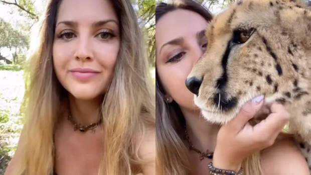 Обворожительная девушка дружит с гепардом