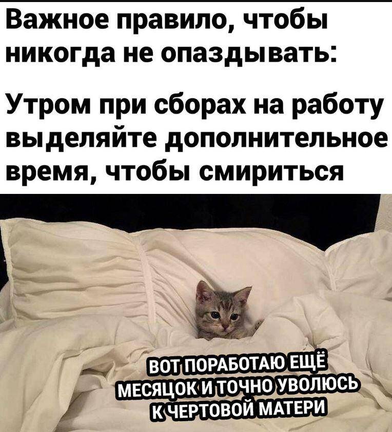 Прикольные картинки с надписями (7)