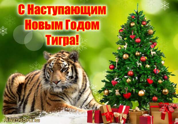 С наступающим  Новым годом ТИГРА!!)