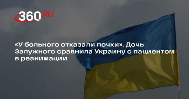 Дочь Залужного сравнила Украину с пациентом в реанимации с отказавшими почками