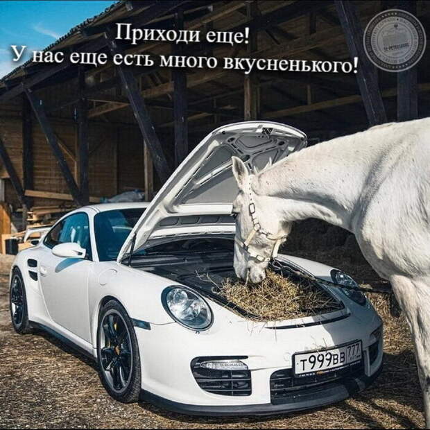 Приходи еще! У нас еще есть много вкусненького!