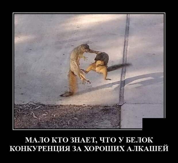 Демотиваторы (30 фото)