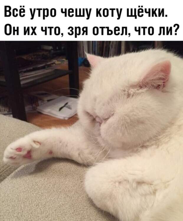 www.vsyako.net