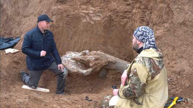 В Ростовской области местный житель нашел 400-килограммовый череп мамонта