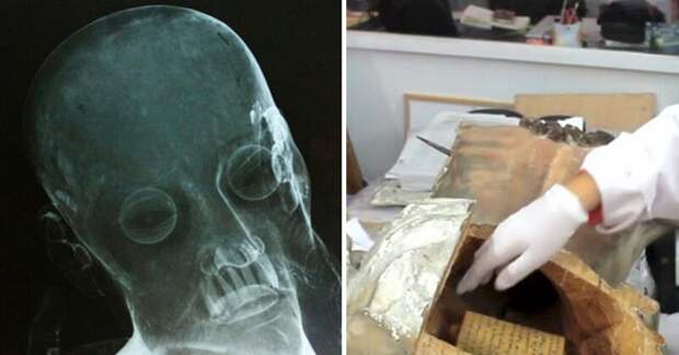 5 статуй, внутри которых таилось что-то странное древность, зубы, мумии, находка, неожиданность, статуи