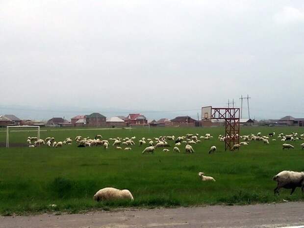 Прикольные картинки прикол, фото, юмор