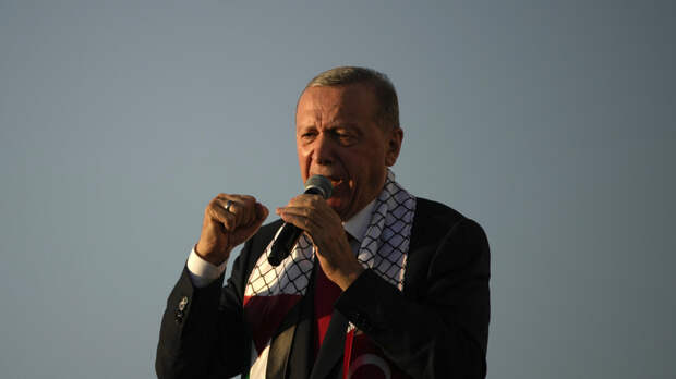Hurriyet: Эрдоган намерен выступить с «глобальным призывом»