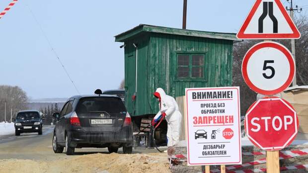 Власти выделили до 200 млн рублей на компенсаций фермерам Новосибирска