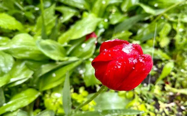 Месяц контрастов: какой будет погода в апреле в Рязанской области