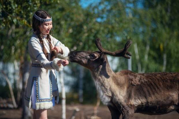 В Якутии введен режим ЧС: домашние олени уходят к диким