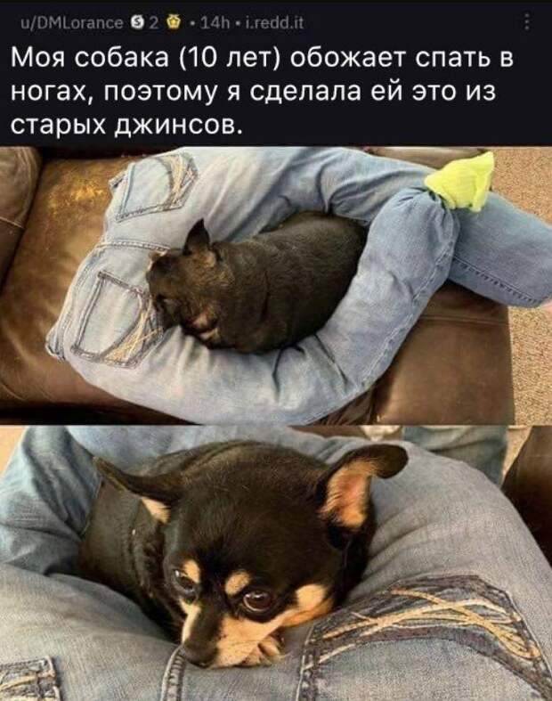 прикольные картинки ржачные (24)