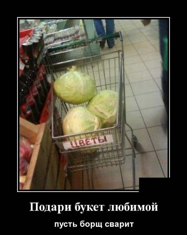 Демотиваторы (30 фото)
