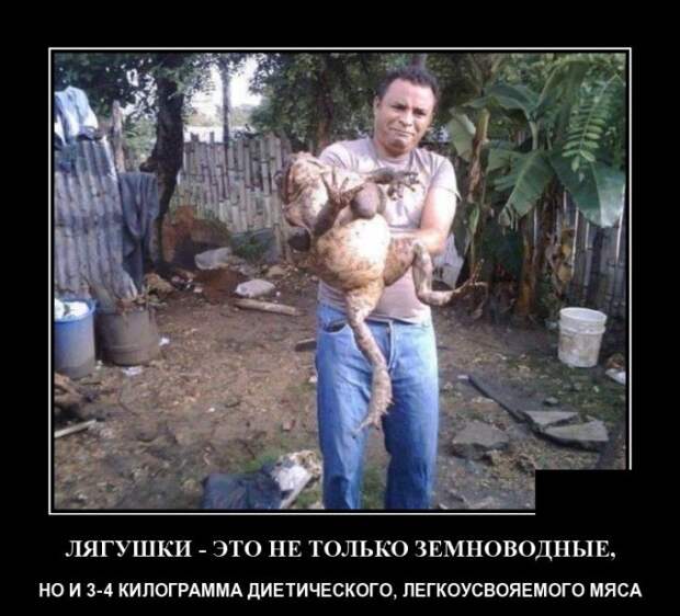 Демотиватор про лягушек