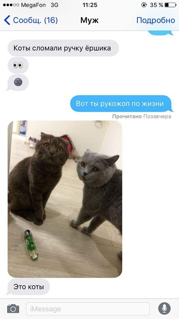 Прикольные картинки
