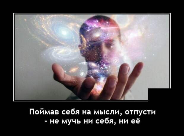 Демотиваторы 1 ноября 2021 года