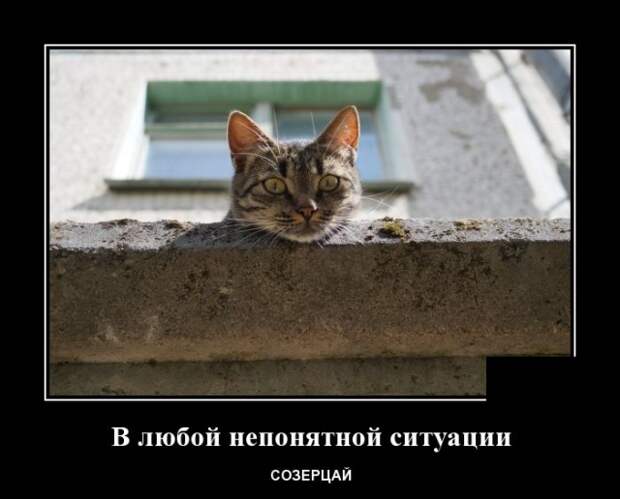 www.vsyako.net