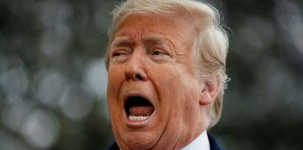 Финский министр взялась шантажировать Трампа сотнями миллионов европейских потребителей