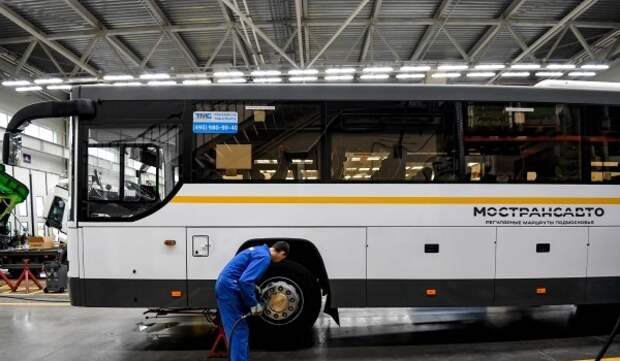 Мострансавто составило маршруты к 178 елочным базарам