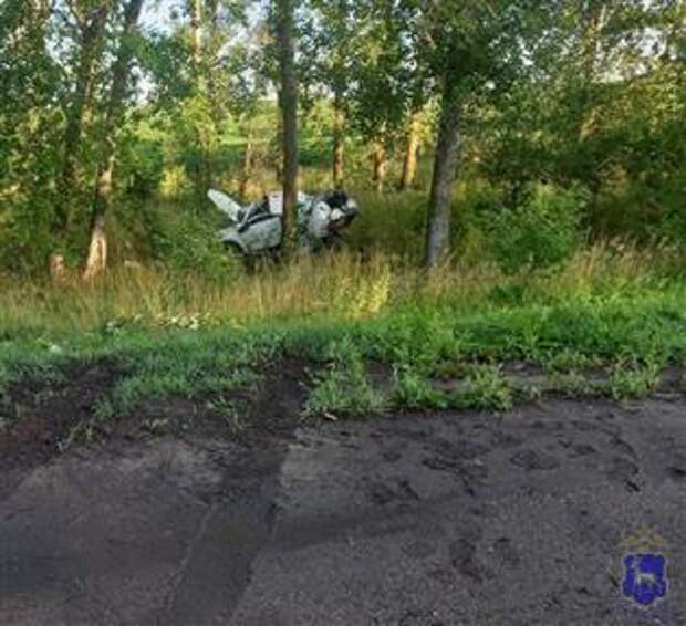 Водитель погиб в улетевшем с дороги и врезавшемся в дерево авто в Самарской области